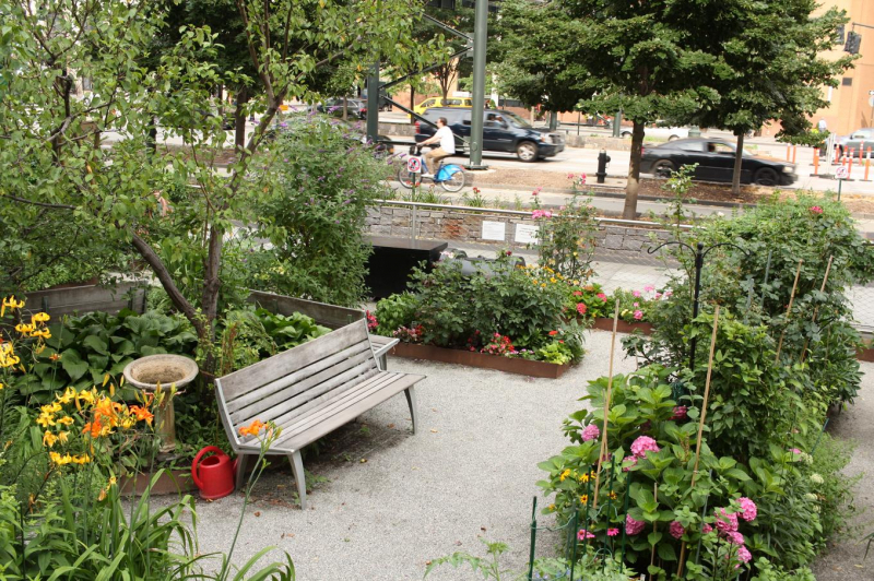 Коллективные сады-огороды в самом центре Нью-Йорка, на Манхеттане » My-Craftmine.Ru — Качественные Решения Вашего Ремонта!